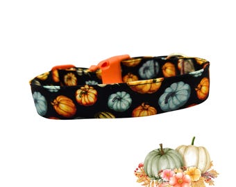Gourds & Pumpkins Fall Dog Collar Ensemble – Autumn Dog Bow Tie – Pumpkin Dog Collar Flower – Seasonal Pet Accessories