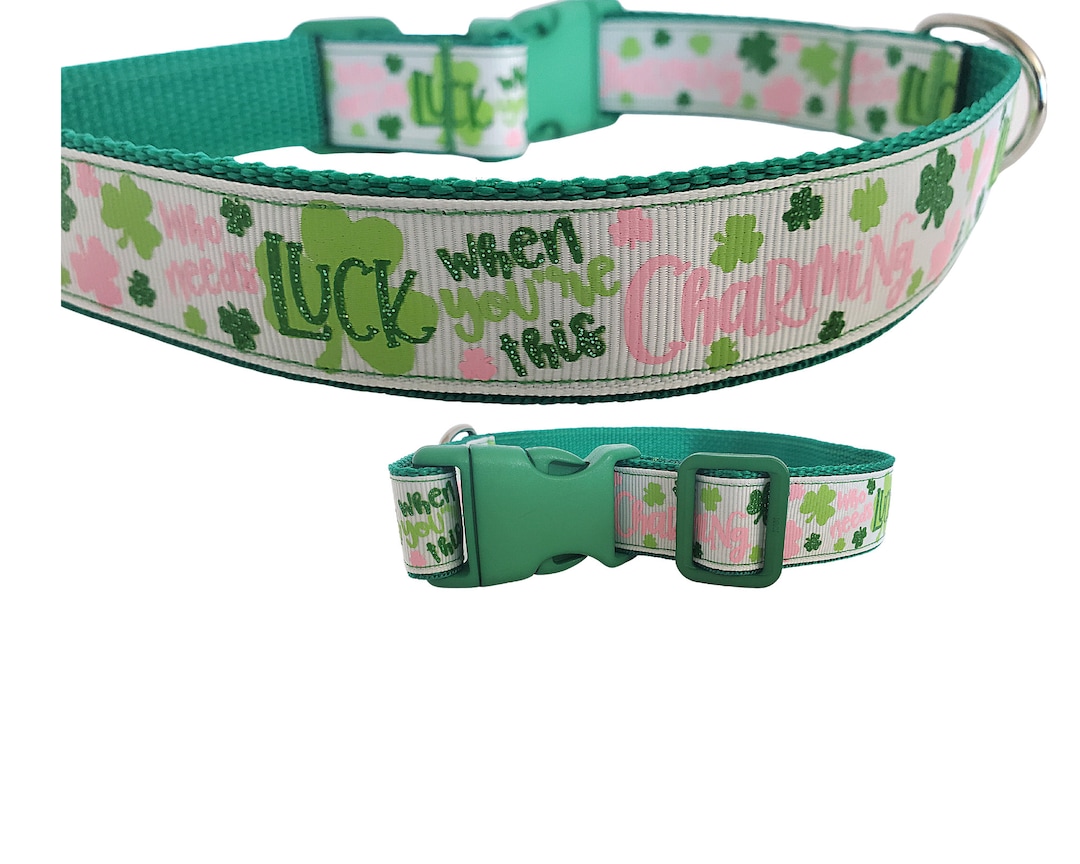 Who Needs Luck When You're This Charming Lucky Dog Collar Saint Patrick