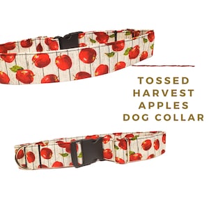 May include: A dog collar featuring a pattern of red apples on a light background with vertical lines. The collar includes a black plastic side-release buckle, a metal D-ring, and a metal slider. Text reads: TOSSED HARVEST APPLES DOG COLLAR.