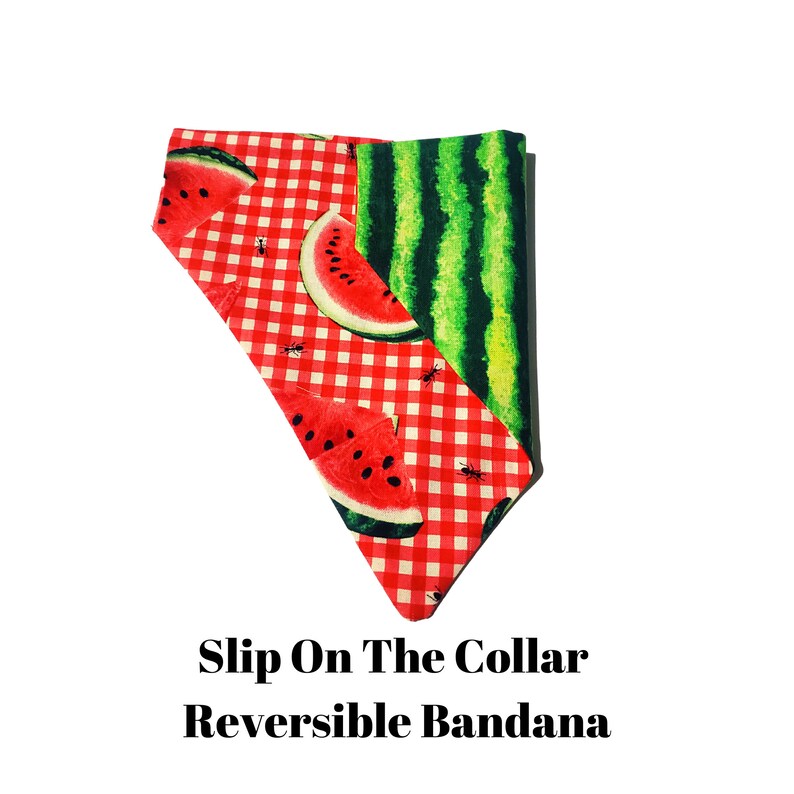 Gingham Watermelon Dog Collection Summer Pet Wear Etsy