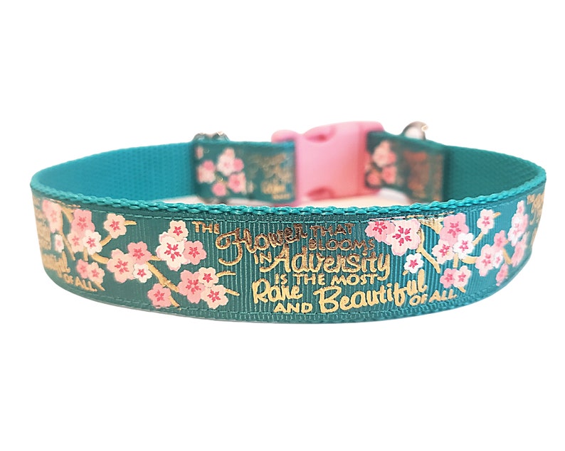 Cherry Blossom Dog Collar the Flower That Blooms in Etsy