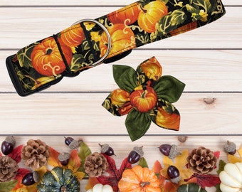 Pumpkin Patch Dog Collar Set – Fall Pumpkin Dog Collar with Bow Tie, Sailor Bow, or Flower – Autumn Dog Accessories