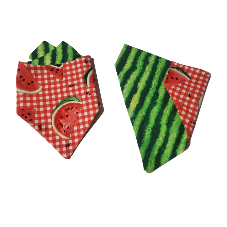 Gingham Watermelon Dog Collection Summer Pet Wear Etsy