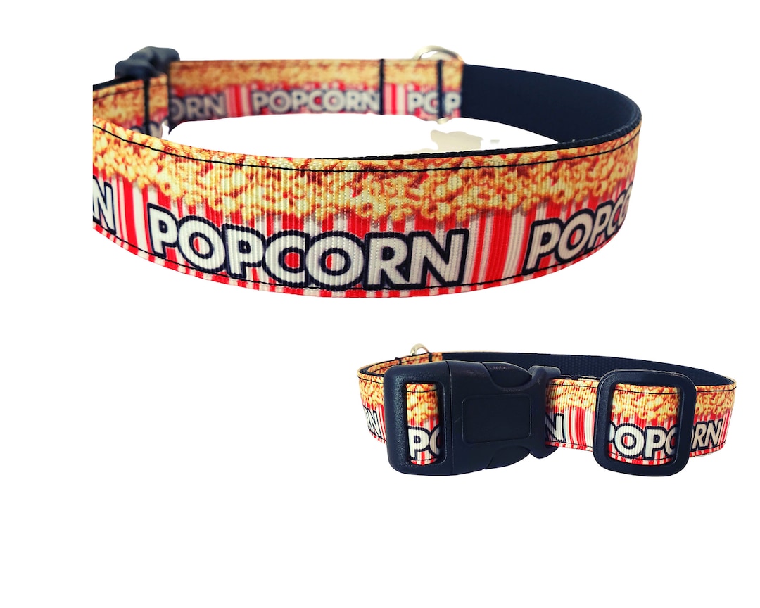 Popcorn Dog Collar Dog Collar for Small Dogs Etsy