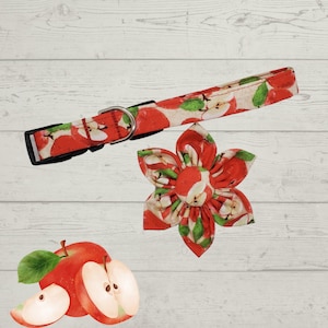 Apple Pickin’ Pups Collar With a Bow Tie or Flower Included