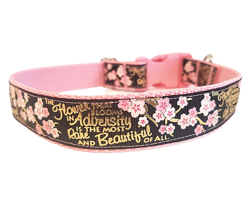 Cherry Blossom Dog Collar the Flower That Blooms in Etsy