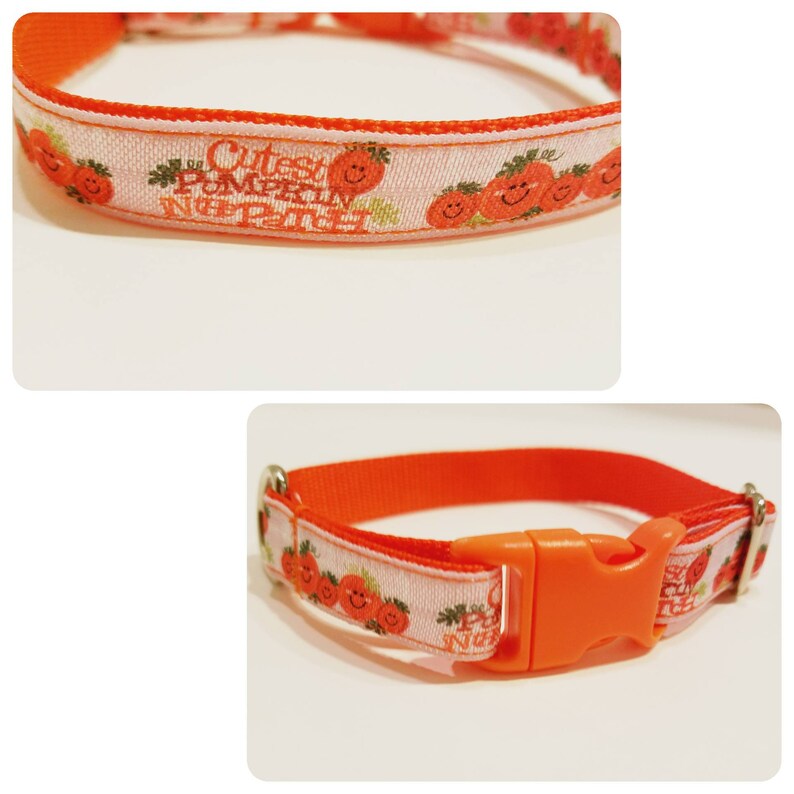 fall cat collars