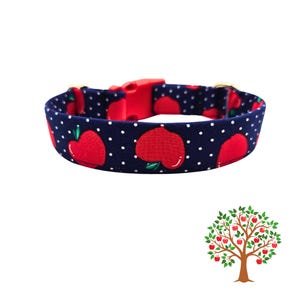 Red Delicious Apple Dog Collar Ensemble - Bow Tie or Flower – Cute Autumn Dog Collar – Back to School Pet Outfit