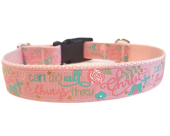 Christian Dog Of Faith Collar I Can Do All Things Thru Christ Dog Collar