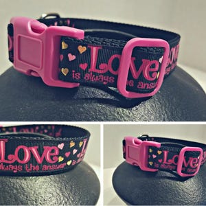 Valentine's day dog collar, Love and hearts dog collar, Dog collar