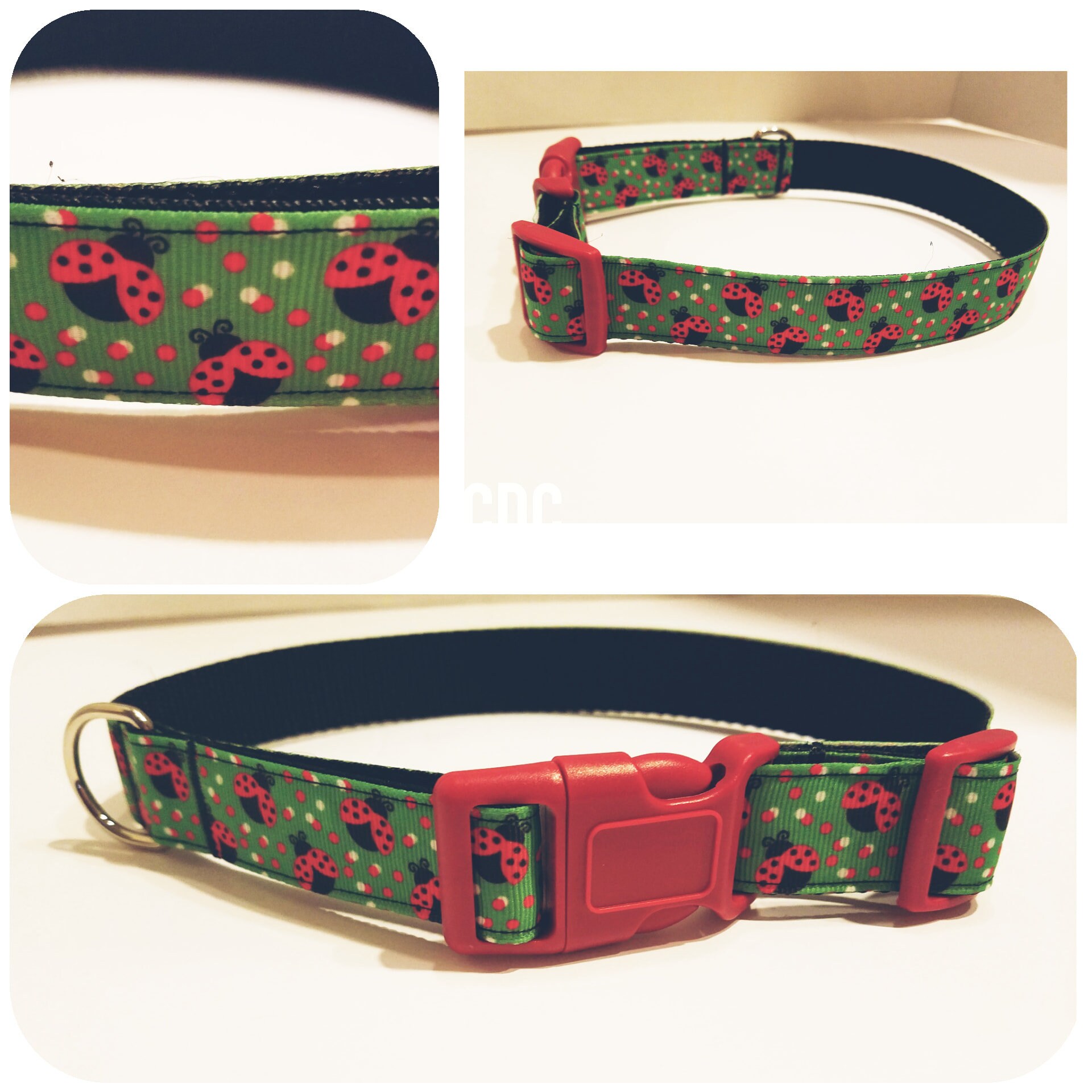Ladybug dog collar Clearance