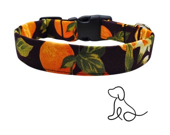 May include: A black dog collar with a colorful orange and green citrus print. The collar has a black plastic buckle.
