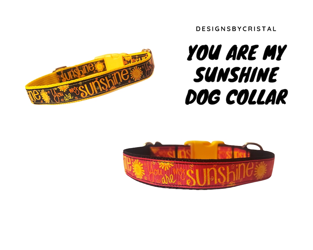 You Are My Sunshine Dog Collar in A 3/4 or 1 Width Etsy