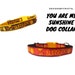 see more listings in the Dog Collars & Leash section