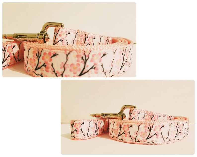 Cherry Blossom Dog Collar Etsy