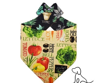 Vegetables and Herbs Reversible Cat or Dog Bandana