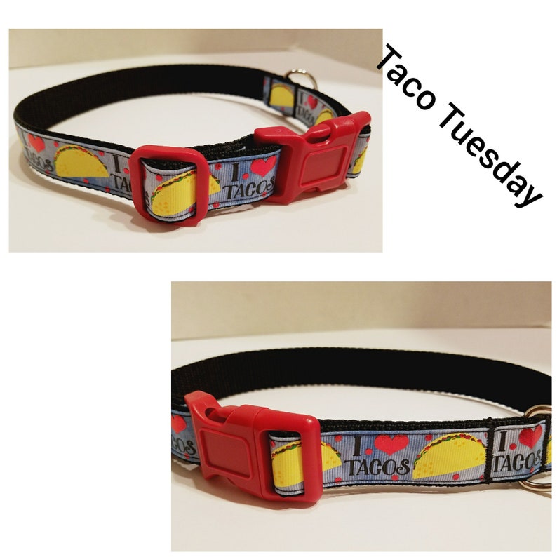 Taco Dog Collar Blue Dog Collar Taco Tuesday Dog Lover Etsy