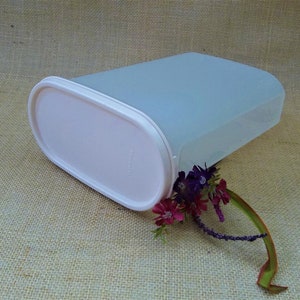 May include: A light blue plastic container with a white lid. The container is oval shaped and has a smooth surface. The lid has a slightly raised edge.