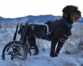 Custom Rear Support Wheelchair for All Pets