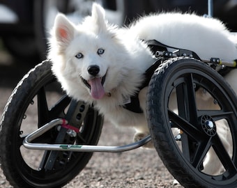 Custom Front Support Wheelchairs for All Pets