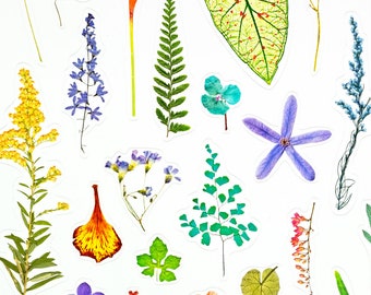 Floral Sticker Sheet