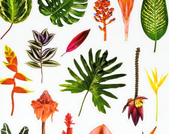 Tropical Plants Sticker Sheet
