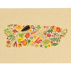 Porto Rico Florece Kunstdruck