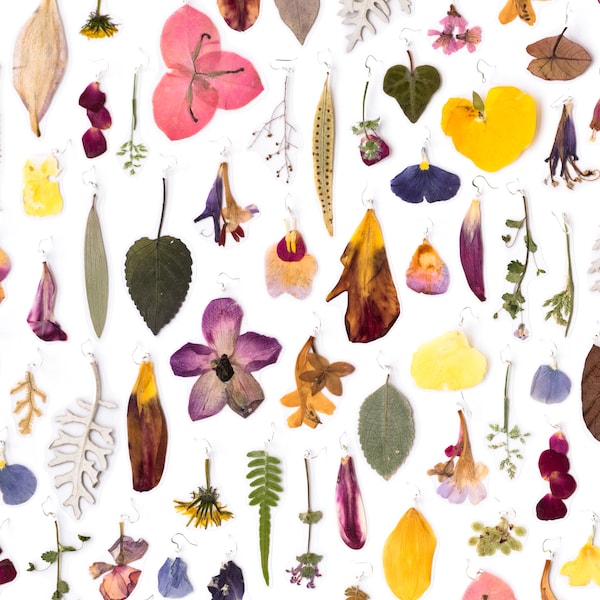 Flower Laminate Pressed Flowers Etsy