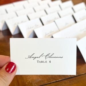Printed Place cards including meal choice and table number | Tented Name Cards |  Calligraphy Place Cards