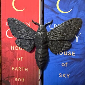 May include: A black, 3D-printed moth figurine with detailed wing textures. The moth is positioned over the spine of two books, one red and one blue, with the titles partially visible. The figurine has a detailed body and antennae.