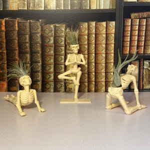 May include: Three off-white skeleton-shaped planters, each with a different yoga pose, and topped with green air plants. The planters are displayed on a light pink surface in front of a backdrop of antique books.