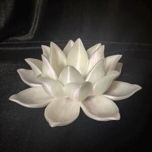 Puede incluir: Una flor de loto blanca con m&uacute;ltiples p&eacute;talos, que exhibe un sutil brillo iridiscente. La flor est&aacute; centrada y en plena floraci&oacute;n, con un suave brillo nacarado. Los p&eacute;talos est&aacute;n en capas, creando una apariencia detallada y texturizada.