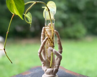May include: A beige, skeletal hand-shaped stand holding a clear glass test tube filled with water. A green and yellow variegated philodendron vine with visible roots is submerged in the water, extending upward and outward from the tube.
