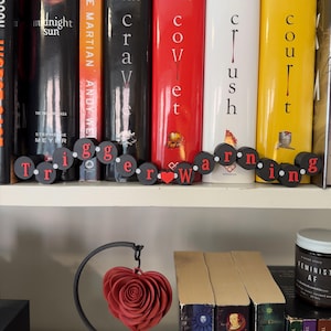 Op de afbeelding: Een boekenplank met een rij kleurrijke boeken. Een zwarte en rode cirkelvormige slinger spelt "trigger warning". Een rood hartvormig ornament hangt eronder. Een pot "FEMINIST AF" is zichtbaar.