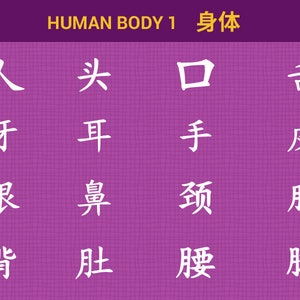 May include: A pink background with a grid pattern and white Chinese characters. The characters are arranged in a grid of four rows and four columns. The characters are for body parts, such as head, mouth, hand, skin, eye, nose, neck, chest, stomach, and foot. The title "HUMAN BODY 1 身体" is at the top of the image.