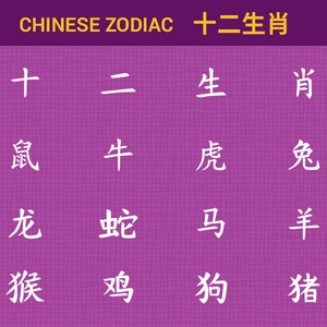 May include: A purple background with white Chinese characters representing the 12 Chinese zodiac animals. The characters are arranged in a grid of four rows and four columns. The text "CHINESE ZODIAC 十二生肖" is at the top of the image.