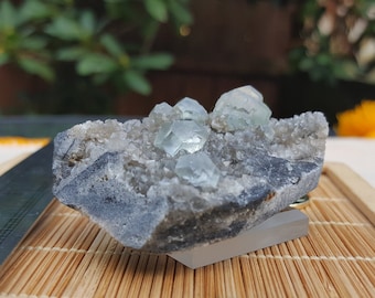 Groene fluorietcluster ~ Natuurlijk fluorietspecimen ~ Kubieke fluorietkristallen