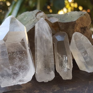 Lemurian Seed Quarz Kristalle - Brasilianische Laser Zauberstab Kristall