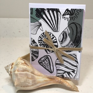 May include: A stack of white note cards with a black and white seashell pattern. The cards are tied together with a brown ribbon. A large seashell is in the foreground.