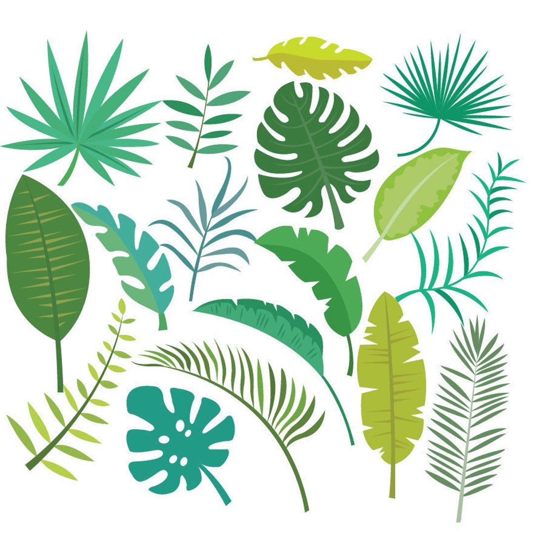Tropical Leaf Clipart &amp; Vector Set Instant Download Personal and ...