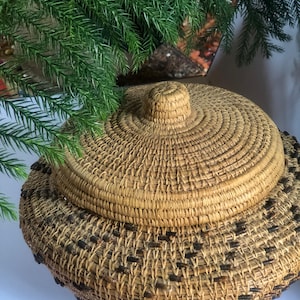 May include: A round, lidded basket with a natural woven design. The basket is tan with a darker pattern around the base. The lid has a small knob on top. Green foliage is in the background.