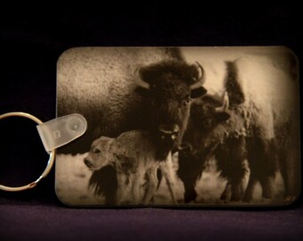 Buffalo Family KeyChain