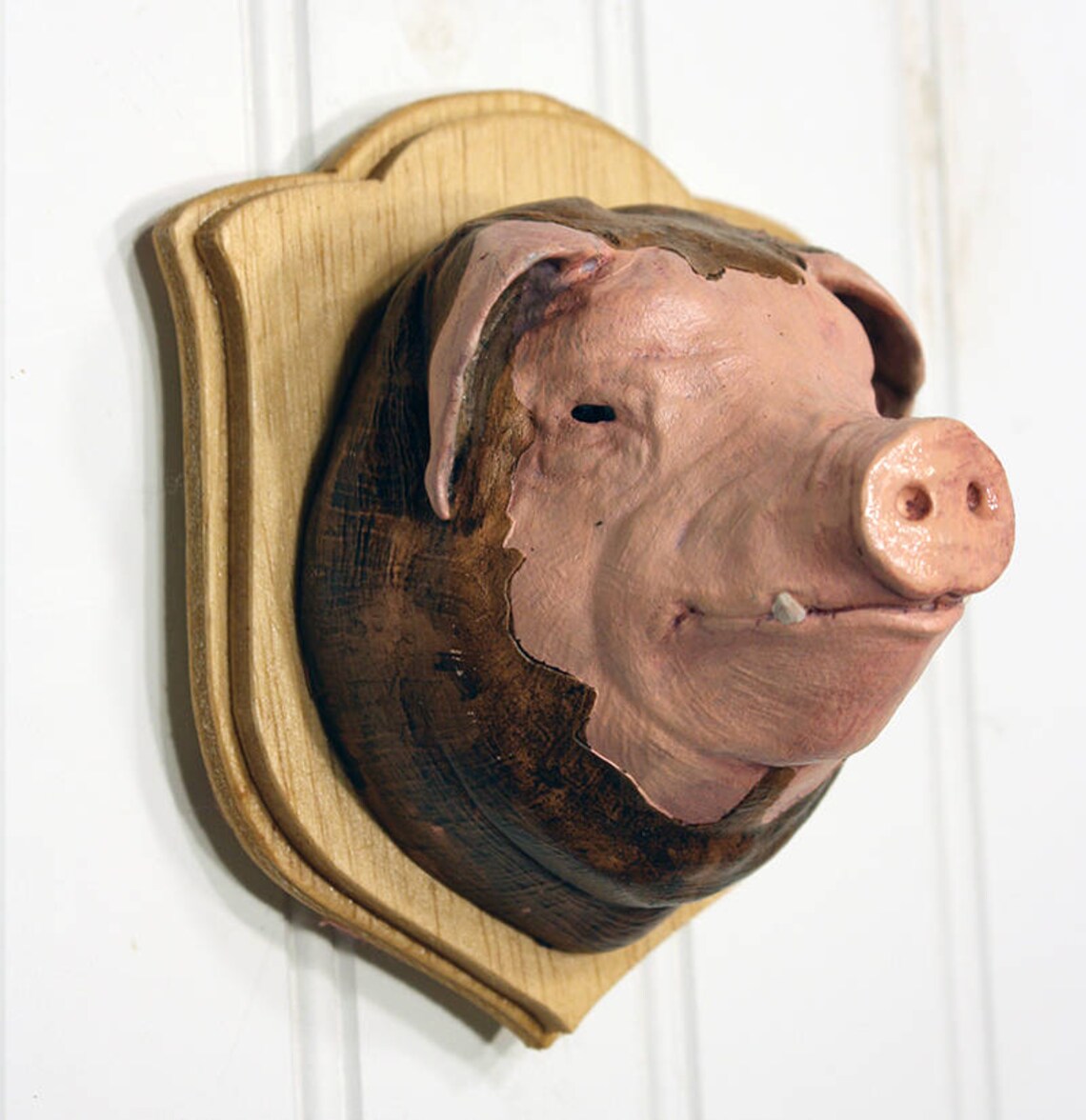 Hog In Slop Large Mounted Animal Head Etsy