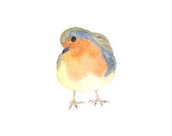 Oranje en blauwe aquarel roodborstje - Fine Art-print