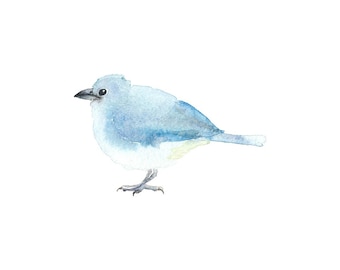 Lichtblauwe vogel: kunstdruk