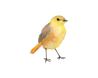 Kleine gele aquarelvogel - Fine Art-print