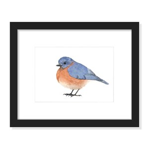 Bluebird - blauwe en oranje vogelaquarel - Fine Art Print afbeelding 2