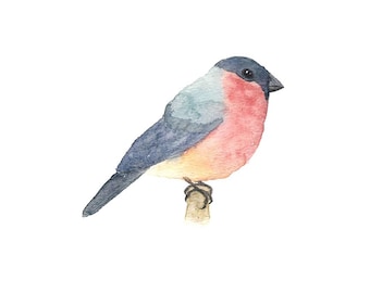 Blauwe en rode aquarelvogel - Fine Art-print