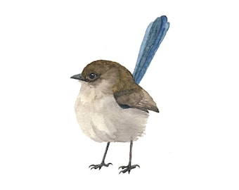 Bruine en blauwe feeënwinterkoning - aquarel vogelprint
