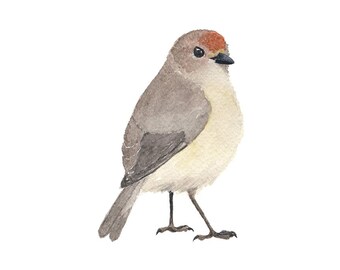 Taupe en oranje aquarelvogel - Kunstdruk